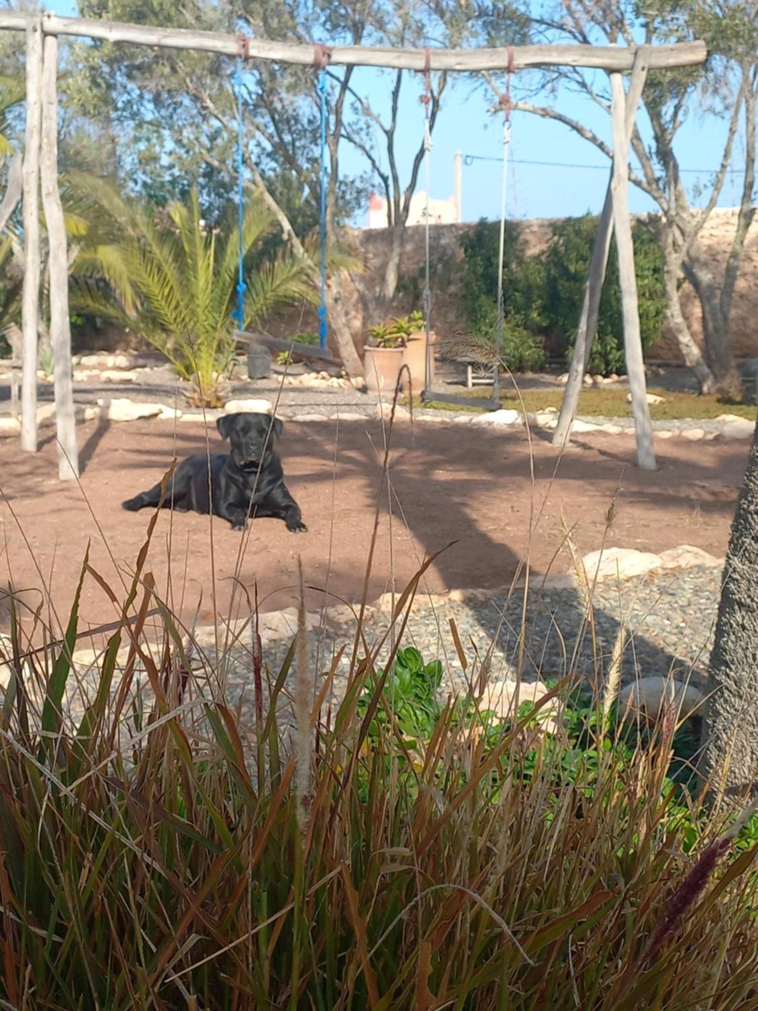 Les Jardins De Silona, Piscine Chauffee Hotel Есувейра Екстериор снимка