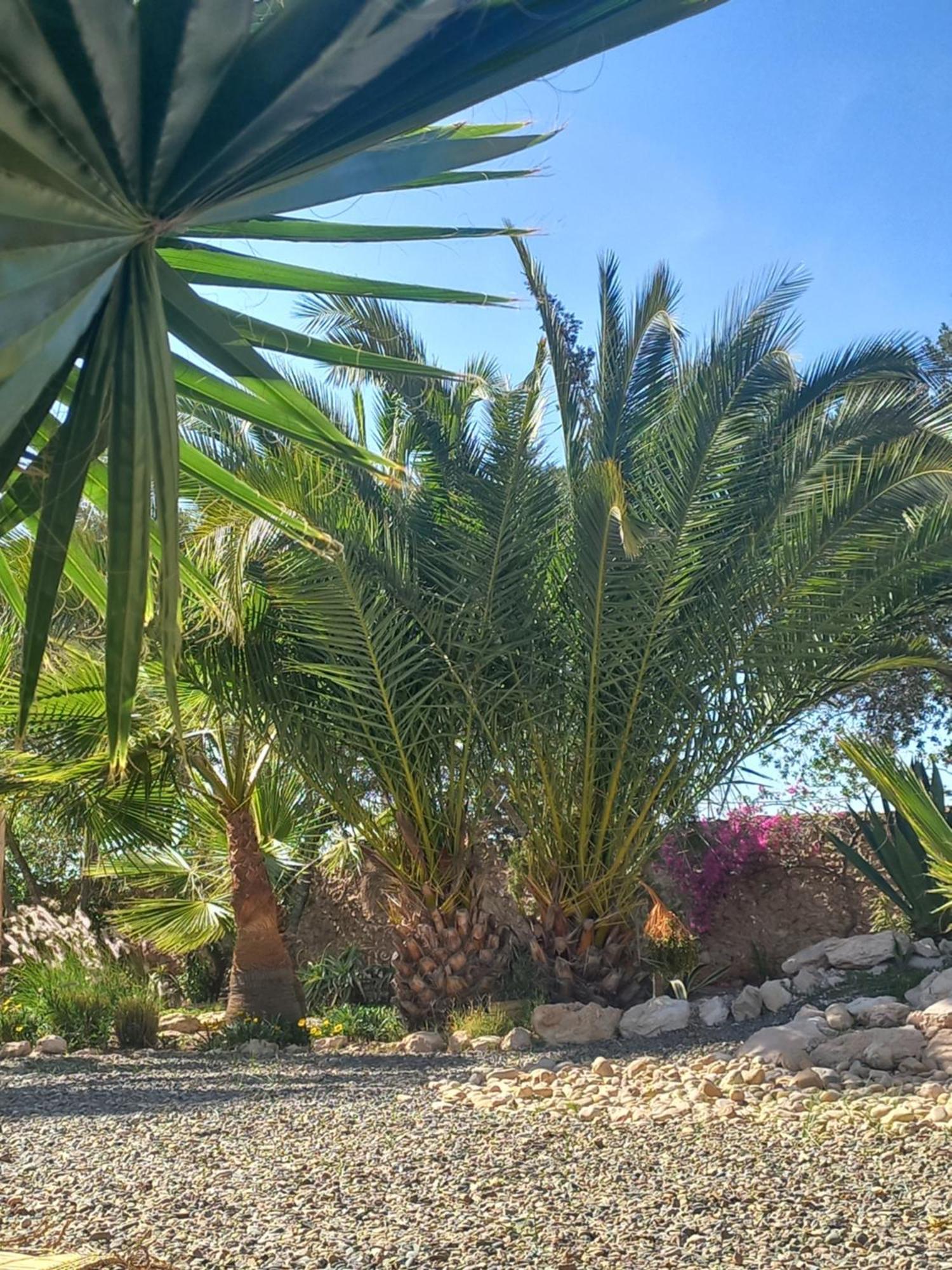 Les Jardins De Silona, Piscine Chauffee Hotel Есувейра Екстериор снимка